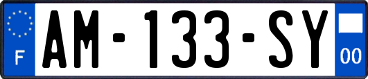 AM-133-SY