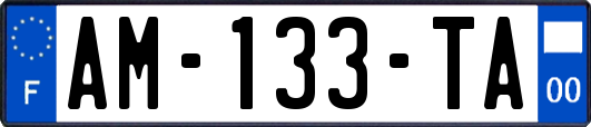 AM-133-TA
