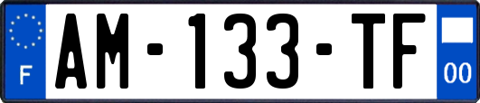 AM-133-TF