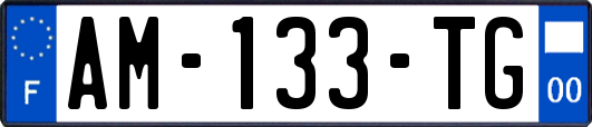 AM-133-TG