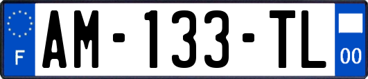 AM-133-TL