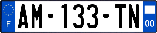 AM-133-TN