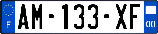 AM-133-XF