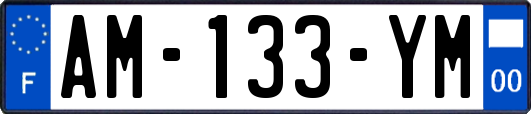 AM-133-YM