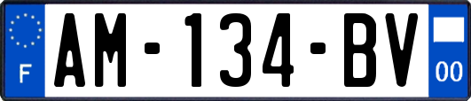 AM-134-BV