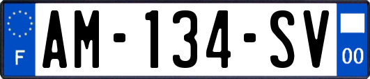 AM-134-SV