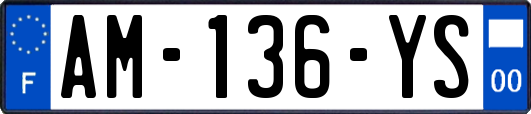 AM-136-YS