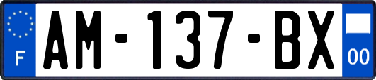 AM-137-BX