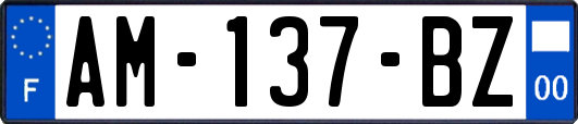 AM-137-BZ