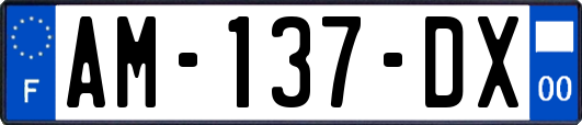 AM-137-DX