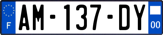 AM-137-DY