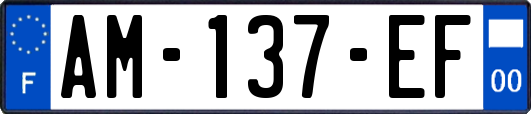 AM-137-EF