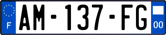 AM-137-FG