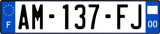AM-137-FJ