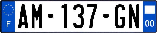 AM-137-GN