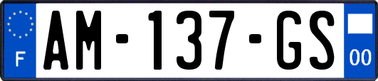 AM-137-GS