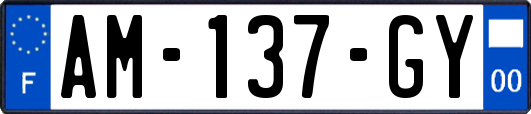 AM-137-GY
