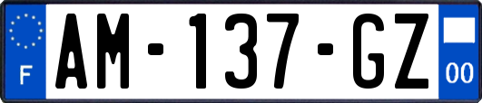 AM-137-GZ