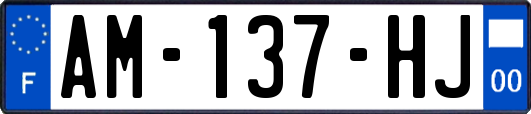 AM-137-HJ