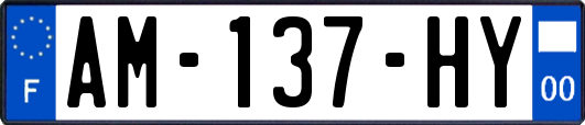 AM-137-HY