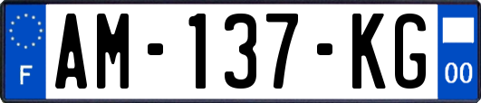 AM-137-KG
