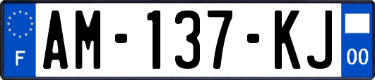AM-137-KJ