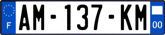 AM-137-KM