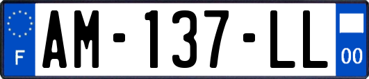 AM-137-LL