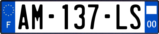 AM-137-LS