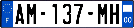 AM-137-MH