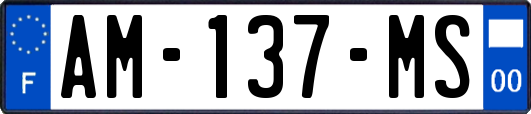 AM-137-MS