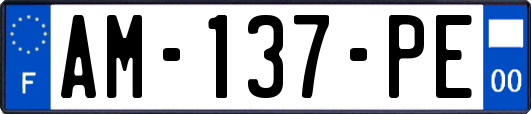 AM-137-PE
