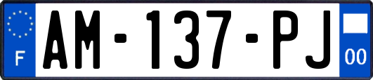 AM-137-PJ