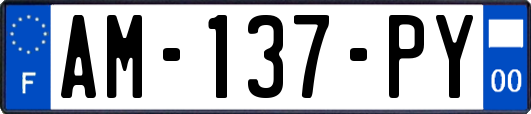 AM-137-PY