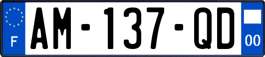 AM-137-QD
