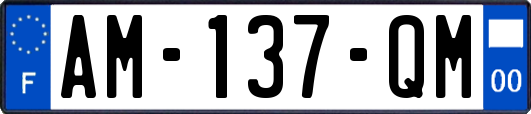 AM-137-QM