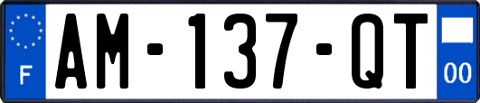 AM-137-QT