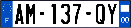 AM-137-QY