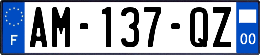 AM-137-QZ