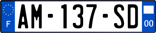AM-137-SD