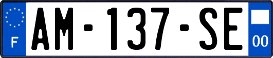 AM-137-SE