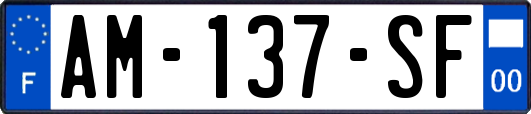 AM-137-SF