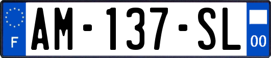 AM-137-SL