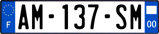 AM-137-SM