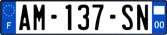 AM-137-SN