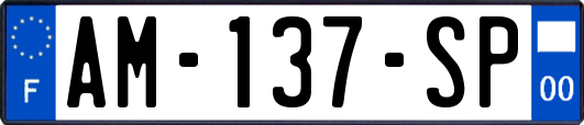 AM-137-SP