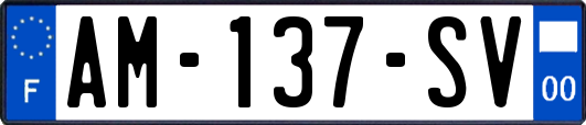 AM-137-SV