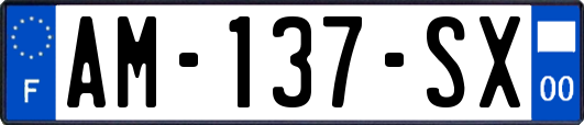 AM-137-SX