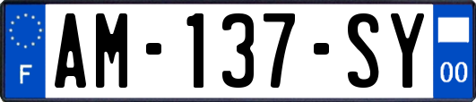 AM-137-SY