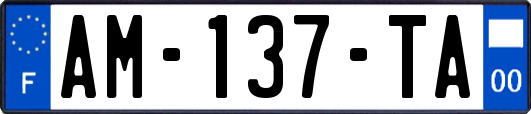 AM-137-TA